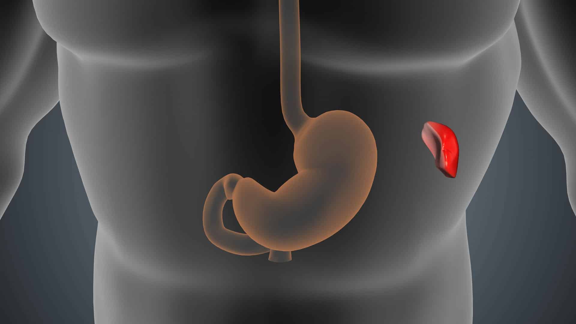 AdobeStock 1618362076